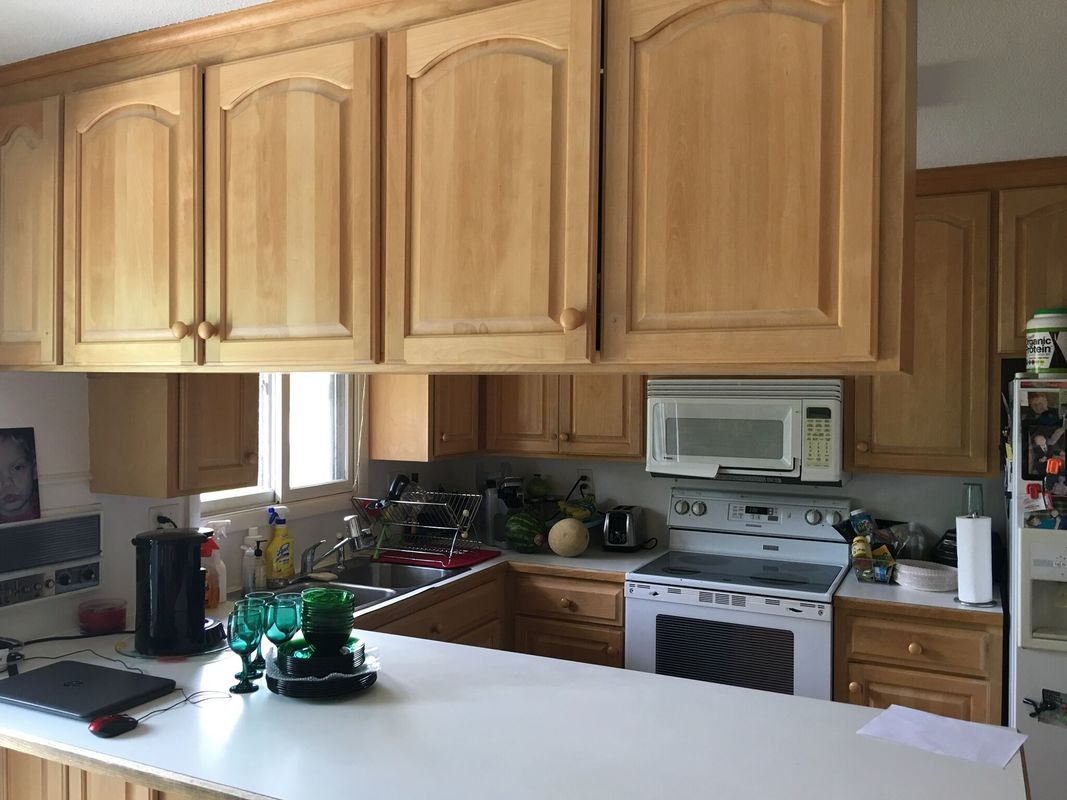 Chanhassen home before renovation